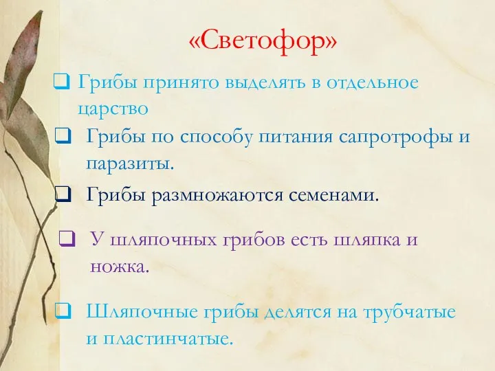 «Светофор» Грибы принято выделять в отдельное царство Грибы по способу