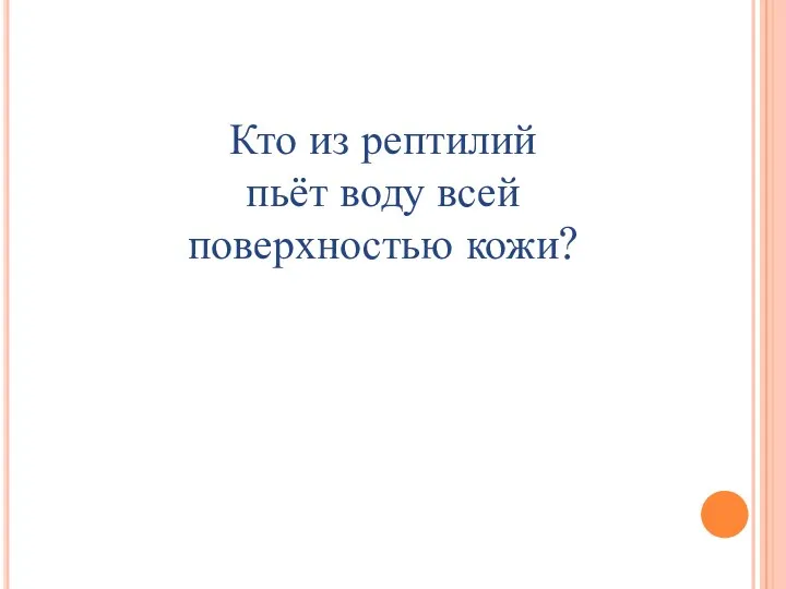 Кто из рептилий пьёт воду всей поверхностью кожи?