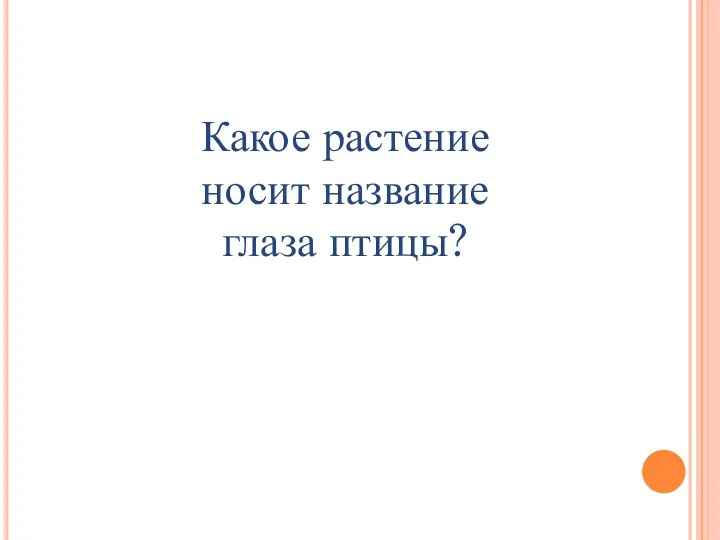 Какое растение носит название глаза птицы?