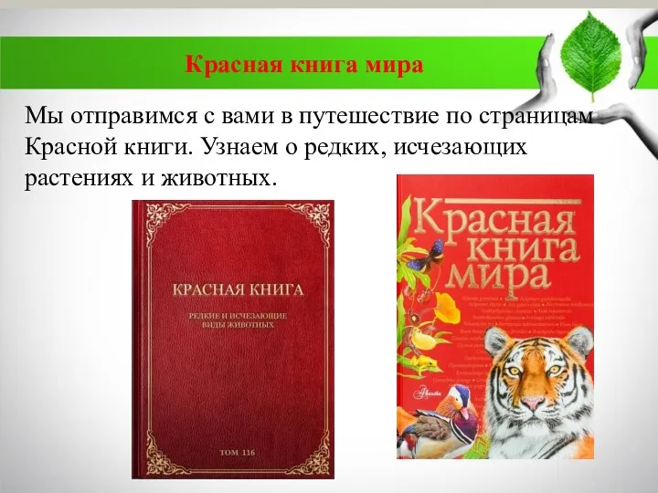 Красная книга мира Мы отправимся с вами в путешествие по