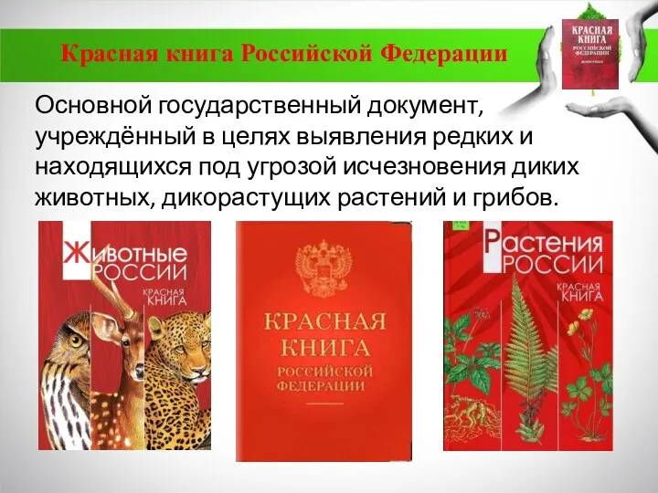 Красная книга Российской Федерации Основной государственный документ, учреждённый в целях