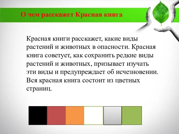 Красная книги расскажет, какие виды растений и животных в опасности.