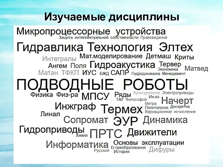 Изучаемые дисциплины