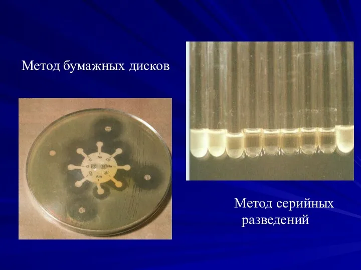 Метод бумажных дисков Метод серийных разведений