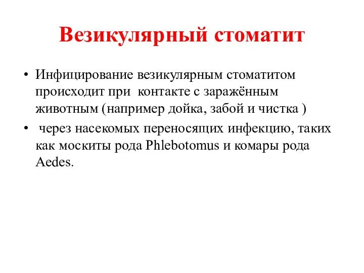 Везикулярный стоматит Инфицирование везикулярным стоматитом происходит при контакте с заражённым