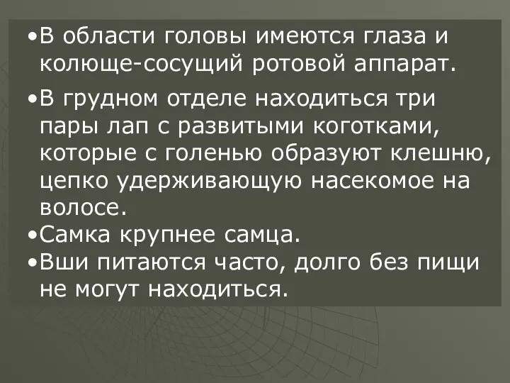 В области головы имеются глаза и колюще-сосущий ротовой аппарат. В