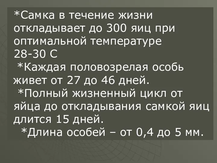 *Самка в течение жизни откладывает до 300 яиц при оптимальной