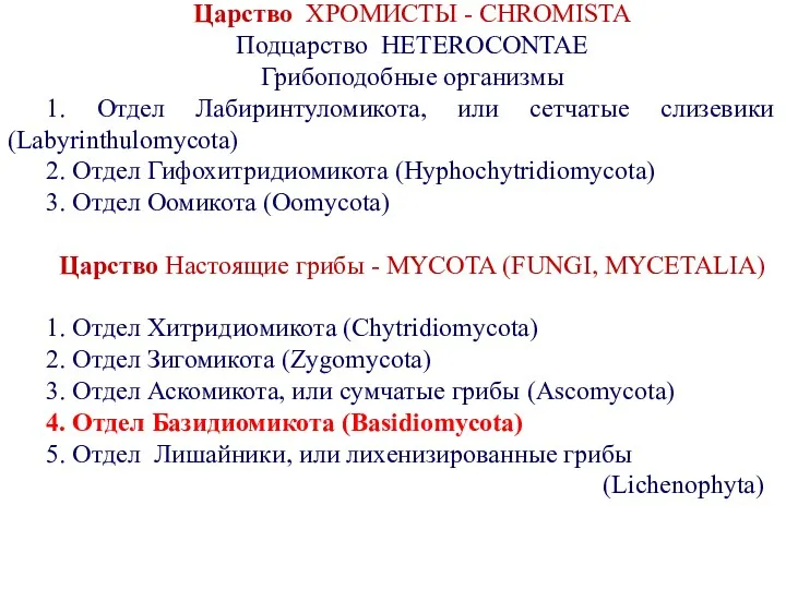 Царство ХРОМИСТЫ - CHROMISTA Подцарство HETEROCONTAE Грибоподобные организмы 1. Отдел