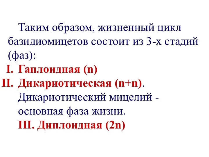 Таким образом, жизненный цикл базидиомицетов состоит из 3-х стадий (фаз):