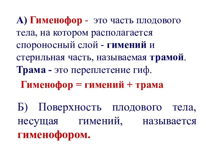 А) Гименофор - это часть плодового тела, на котором располагается