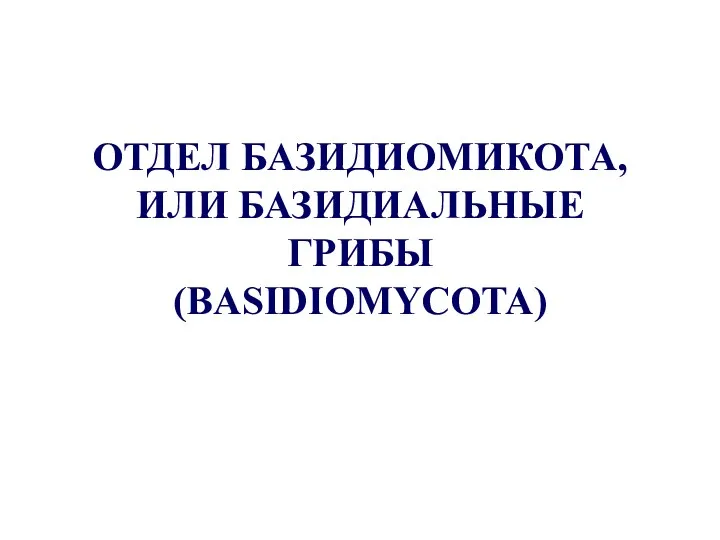 ОТДЕЛ БАЗИДИОМИКОТА, ИЛИ БАЗИДИАЛЬНЫЕ ГРИБЫ (BASIDIOMYCOTA)