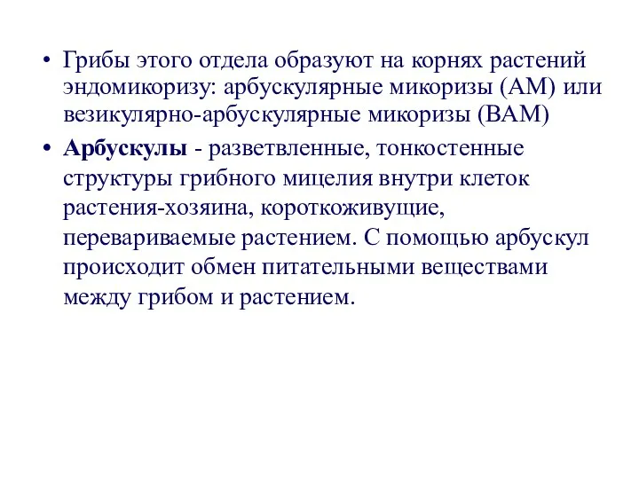 Грибы этого отдела образуют на корнях растений эндомикоризу: арбускулярные микоризы