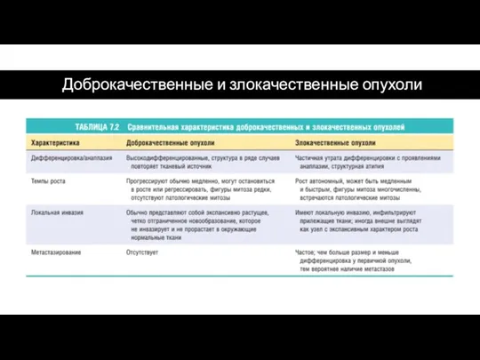 Доброкачественные и злокачественные опухоли