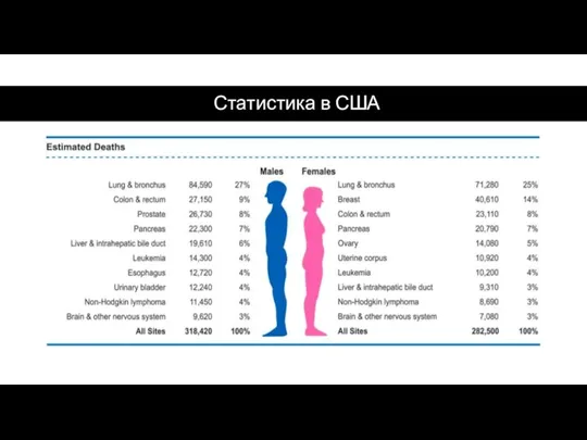 Статистика в США