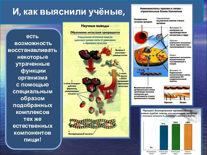 И, как выяснили учёные, есть возможность восстанавливать некоторые утраченные функции