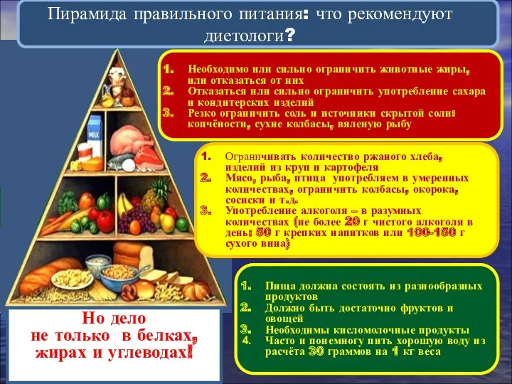 Пирамида правильного питания: что рекомендуют диетологи? Пища должна состоять из