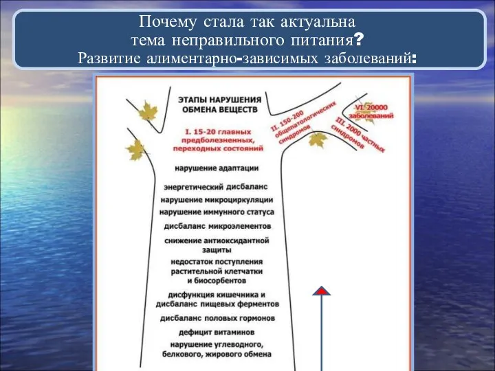 Дерево Почему стала так актуальна тема неправильного питания? Развитие алиментарно-зависимых заболеваний: