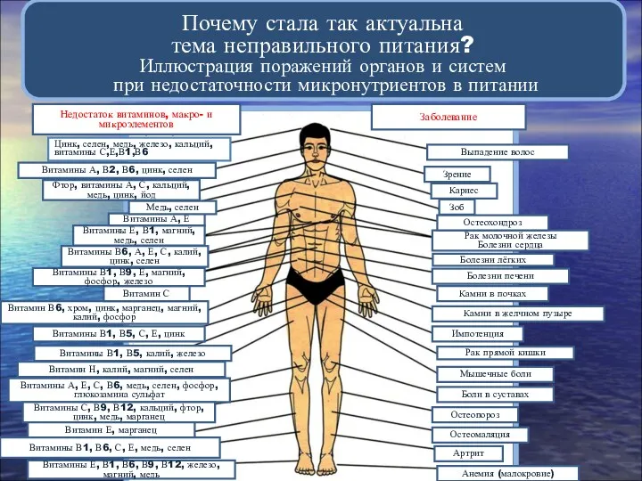 Почему стала так актуальна тема неправильного питания? Иллюстрация поражений органов