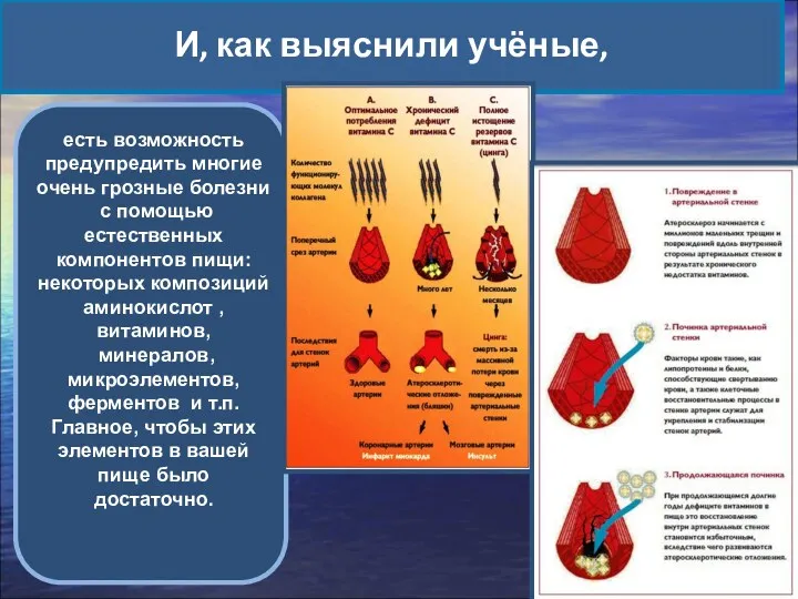 И, как выяснили учёные, есть возможность предупредить многие очень грозные