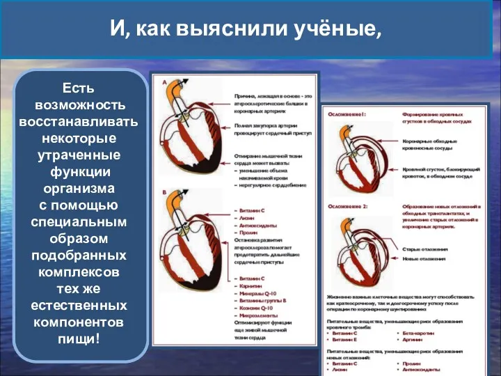 И, как выяснили учёные, Есть возможность восстанавливать некоторые утраченные функции