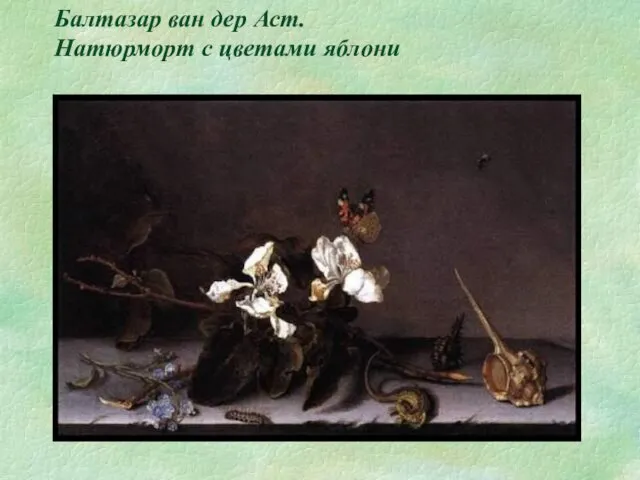 Балтазар ван дер Аст. Натюрморт с цветами яблони