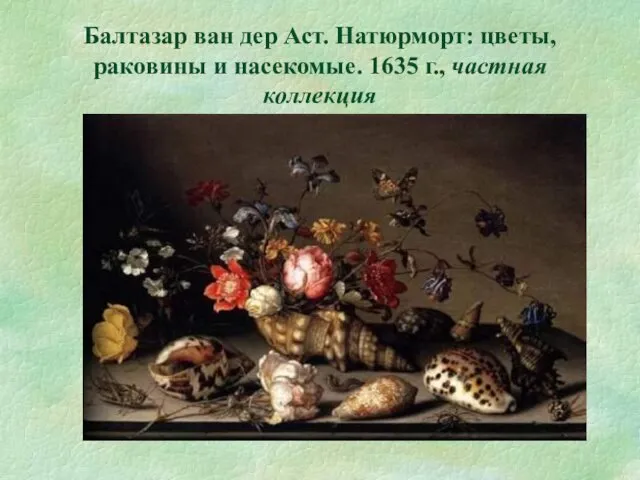 Балтазар ван дер Аст. Натюрморт: цветы, раковины и насекомые. 1635 г., частная коллекция