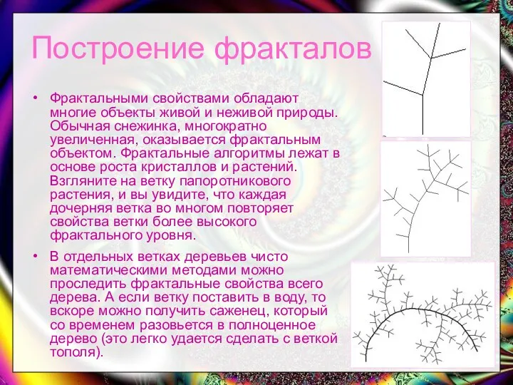 Фрактальными свойствами обладают многие объекты живой и неживой природы. Обычная