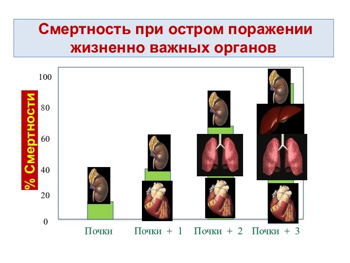 Смертность при остром поражении жизненно важных органов % Смертности Почки