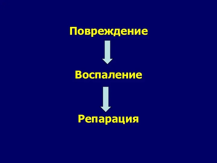 Повреждение Воспаление Репарация