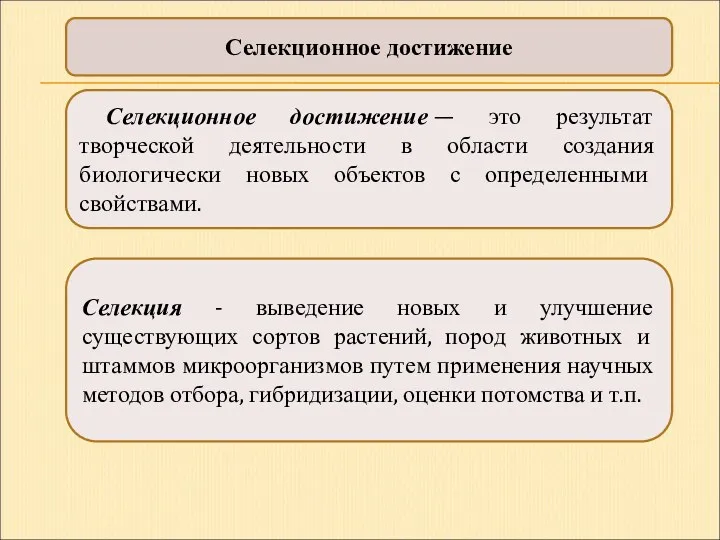 Селекционное достижение Селекционное достижение — это результат творческой деятельности в