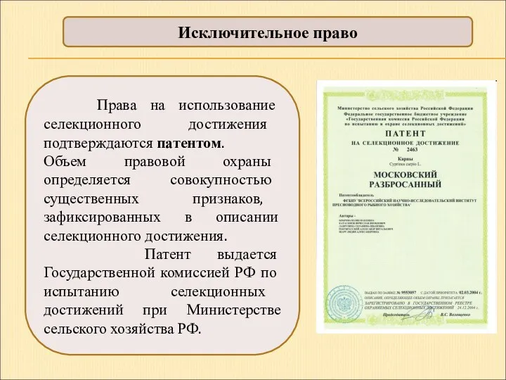 Исключительное право Права на использование селекционного достижения подтверждаются патентом. Объем