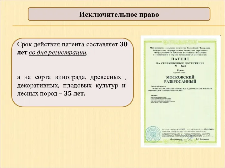 Исключительное право Срок действия патента составляет 30 лет со дня