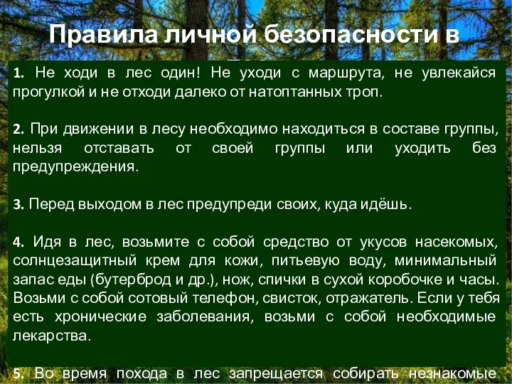 Правила личной безопасности в лесу 1. Не ходи в лес