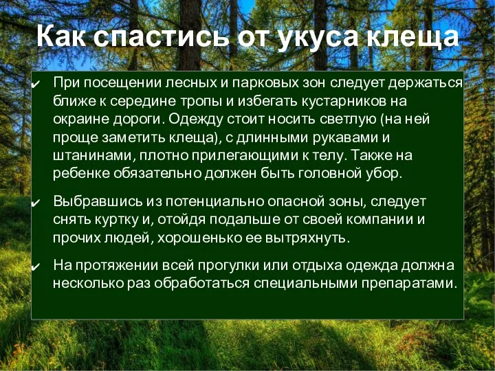 Как спастись от укуса клеща При посещении лесных и парковых