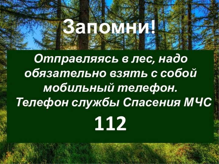 Запомни! Отправляясь в лес, надо обязательно взять с собой мобильный телефон. Телефон службы Спасения МЧС 112