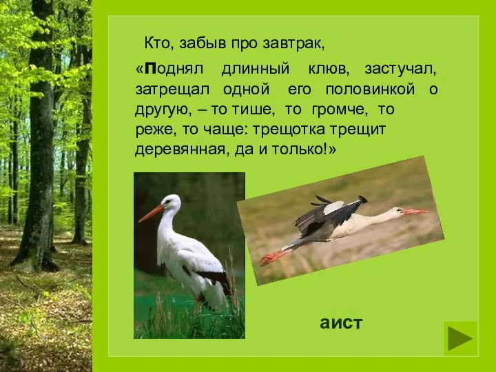 Кто, забыв про завтрак, «поднял длинный клюв, застучал, затрещал одной его половинкой о