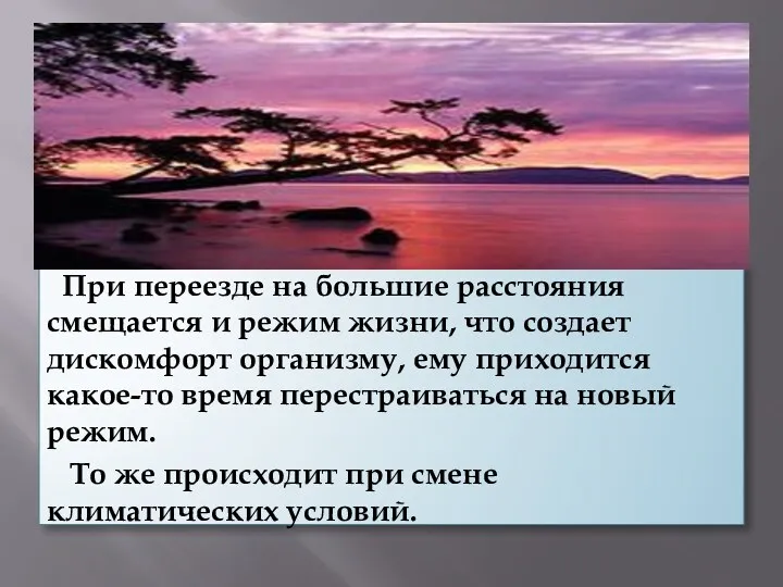 При переезде на большие расстояния смещается и режим жизни, что создает дискомфорт организму,