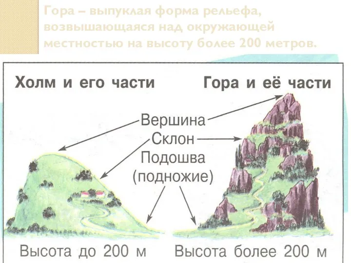 Гора – выпуклая форма рельефа, возвышающаяся над окружающей местностью на высоту более 200 метров.