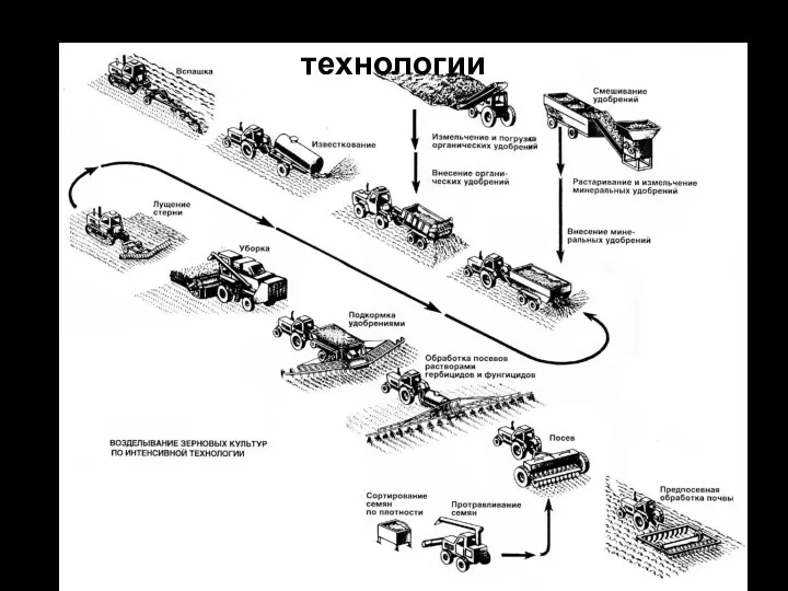 Возделывание зерновых по интенсивной технологии