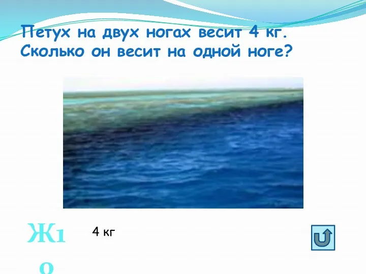 Петух на двух ногах весит 4 кг. Сколько он весит на одной ноге? Ж10 4 кг