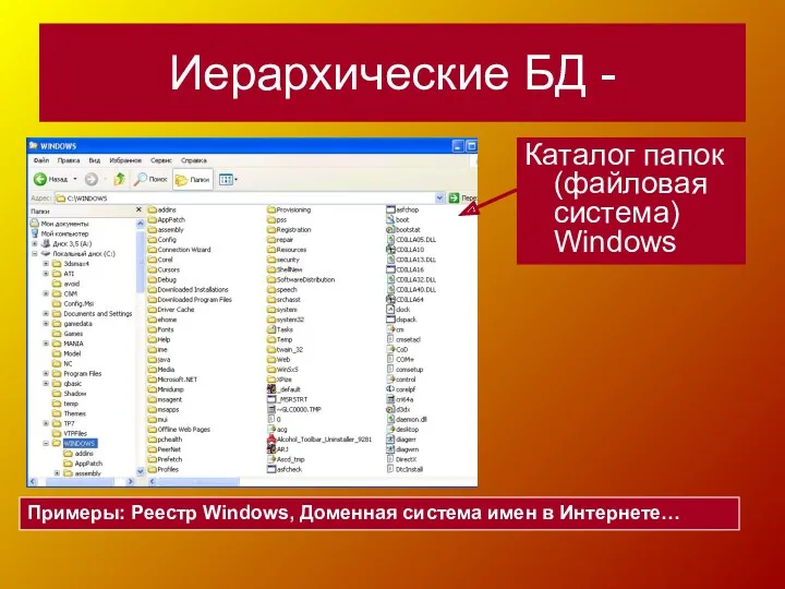Иерархические БД - Каталог папок (файловая система) Windows Примеры: Реестр Windows, Доменная система имен в Интернете…