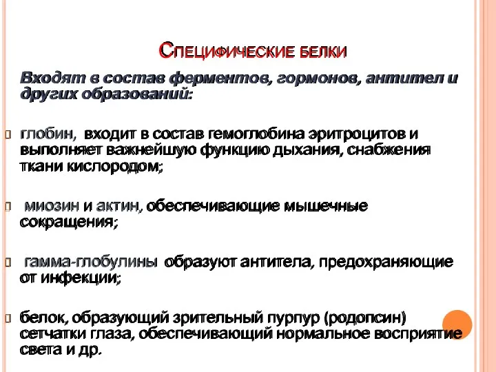 Специфические белки Входят в состав ферментов, гормонов, антител и других