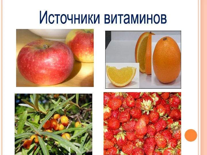 Источники витаминов