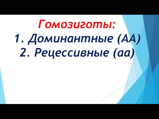 Гомозиготы: 1. Доминантные (АА) 2. Рецессивные (аа)