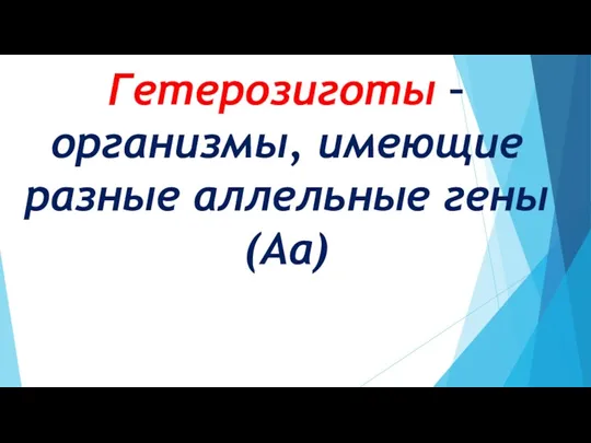 Гетерозиготы – организмы, имеющие разные аллельные гены (Аа)