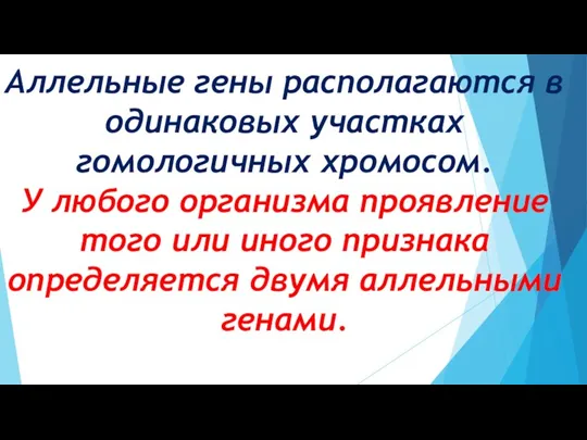 Аллельные гены располагаются в одинаковых участках гомологичных хромосом. У любого