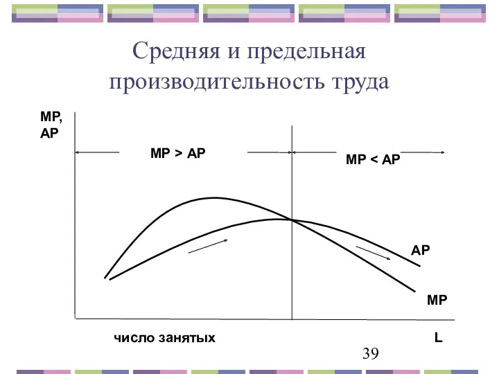 Средняя и предельная производительность труда