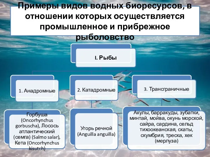 Примеры видов водных биоресурсов, в отношении которых осуществляется промышленное и прибрежное рыболовство