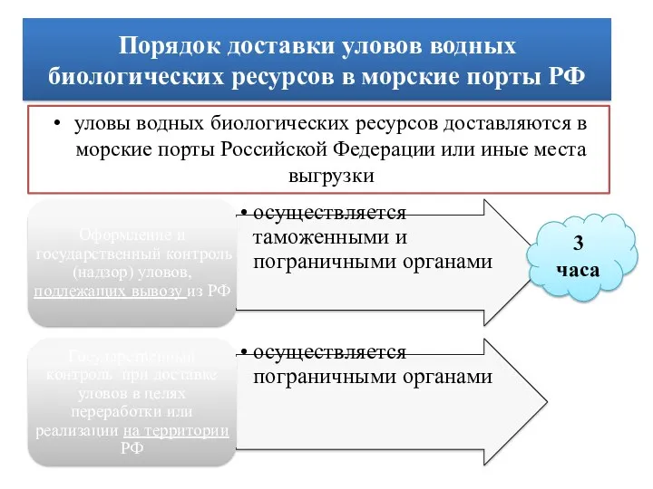 Порядок доставки уловов водных биологических ресурсов в морские порты РФ