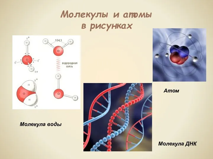 Молекулы и атомы в рисунках Молекула воды Атом Молекула ДНК